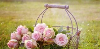 Jaki wąż ogrodowy się nie zagina?