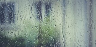 Jak zasłonić szybę w oknie?