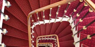 O której godzinie wychodzą krety?