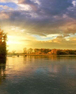 Jak dobrać deskę sedesową Koło?
