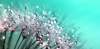 Czego nie klei Kropelka?