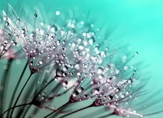 Czego nie klei Kropelka?