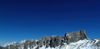 Czy można sypać nawóz na korę?