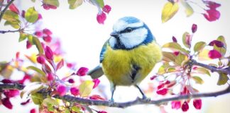 Jak usunąć żółty osad z brodzika?