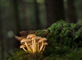 Co to są listwy przyszybowe?