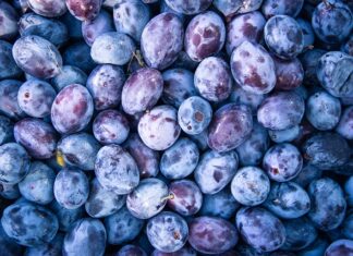 Jaki agregat do zasilania awaryjnego domu?