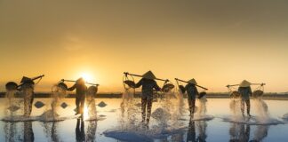 Po co sypać sól do toalety?