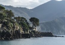 Ile kosztuje 50 róż?