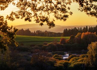 Czy można opalać się w cieniu?